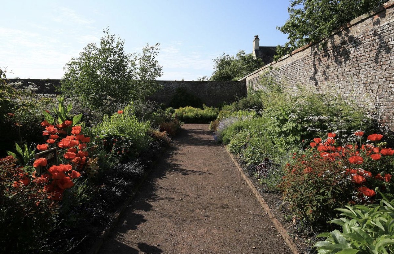 Archerfield Walled Garden photo 2