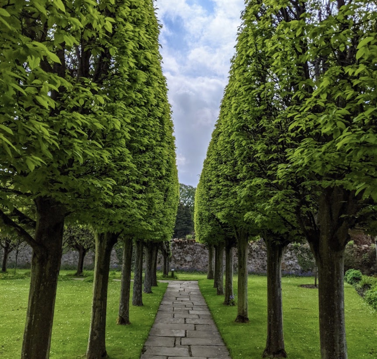 St Mary's Pleasance Garden photo 3