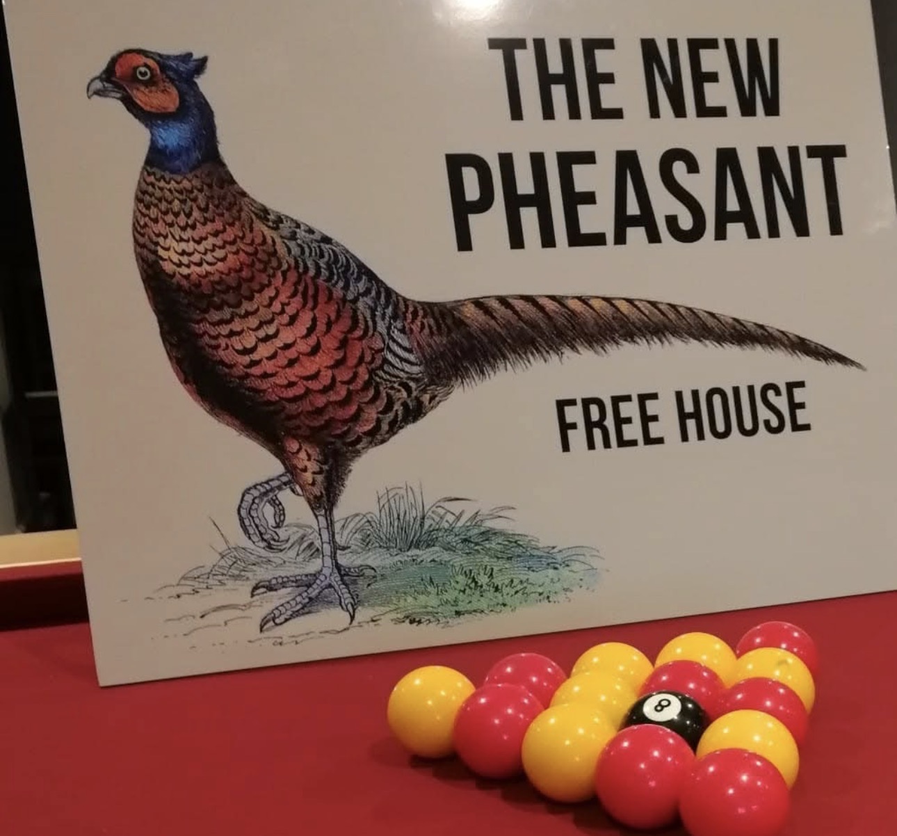 The New Pheasant photo 3
